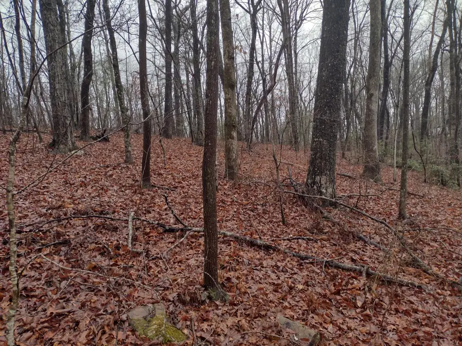 000 White Oak Circle #43, Spring City, TN 37381 - #2