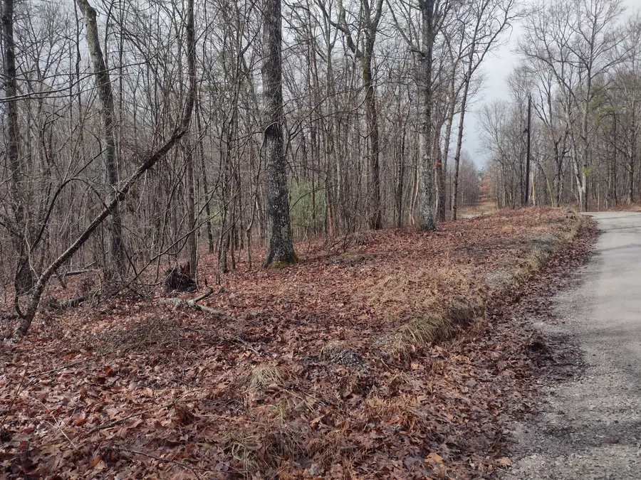 000 White Oak Circle #43, Spring City, TN 37381 - #3