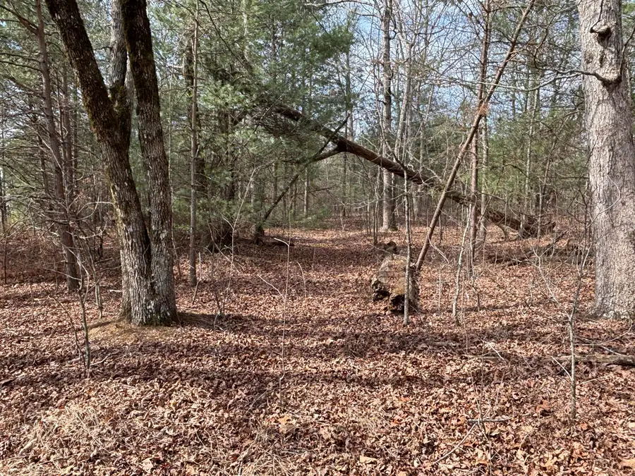 1410 New Harmony Road, Graysville, TN 37338 - #3