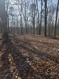 7728 Morgan Estates Road, Ooltewah, TN 37363 - #2