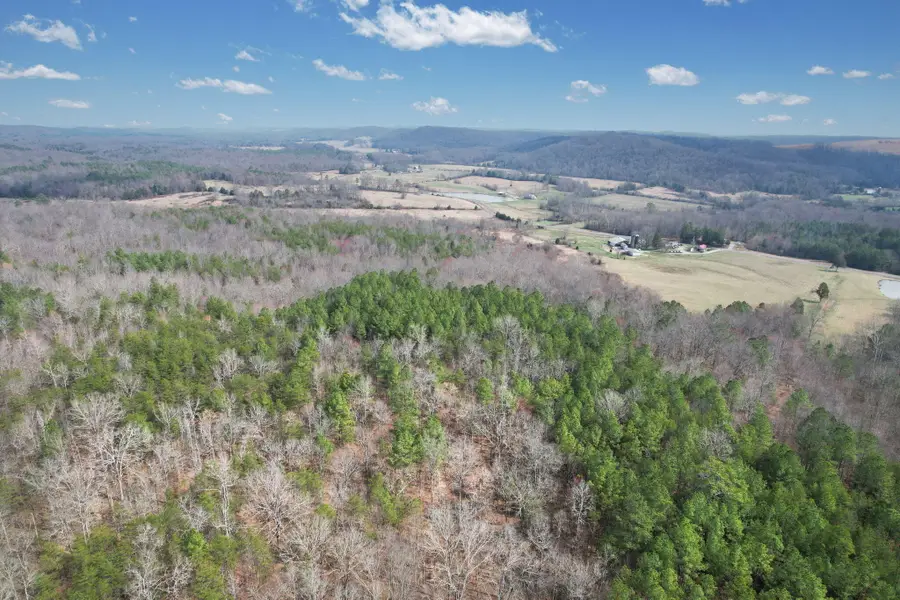 305 County Road 180, Athens, TN 37303 - #3