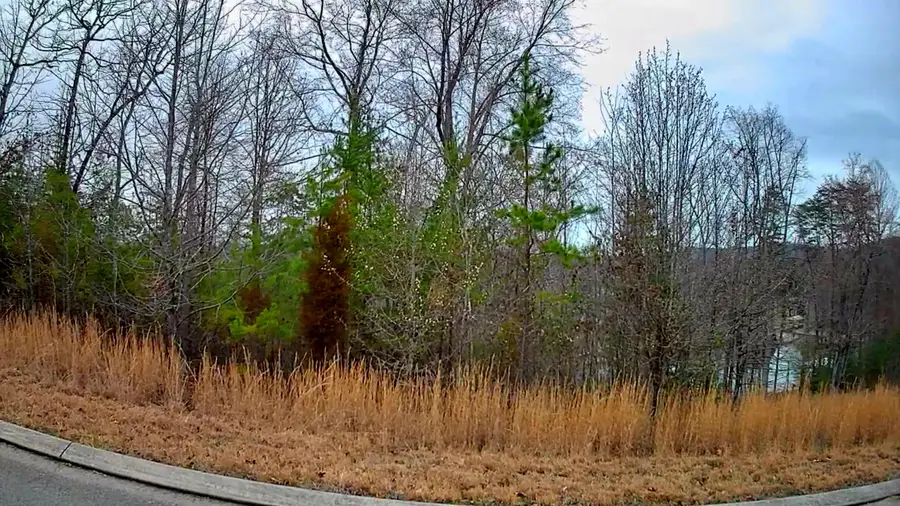 0 Spring Cove Lane #6, Spring City, TN 37381 - #3