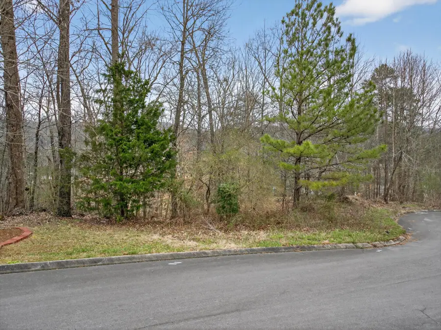 0 Turkey Trot Drive #Lot 15, Rocky Face, GA 30740 - #3