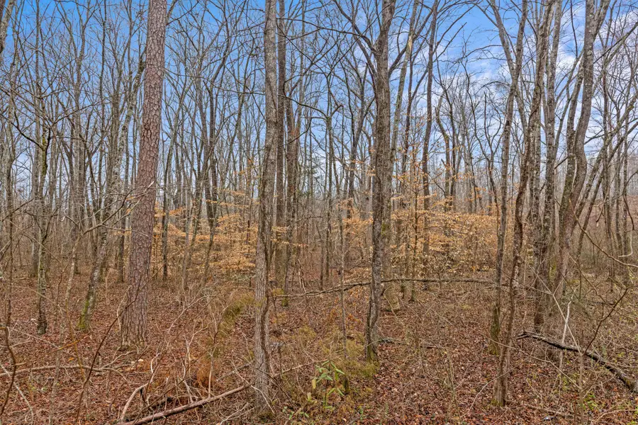 356 Tennessee 68, Decatur, TN 37322 - #3