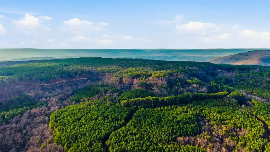 Lot 2154 Fallen Oak Pass, Guild, TN 37340 - #2