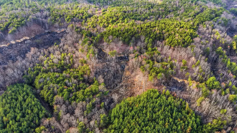 Lot 2154 Fallen Oak Pass, Guild, TN 37340 - #3