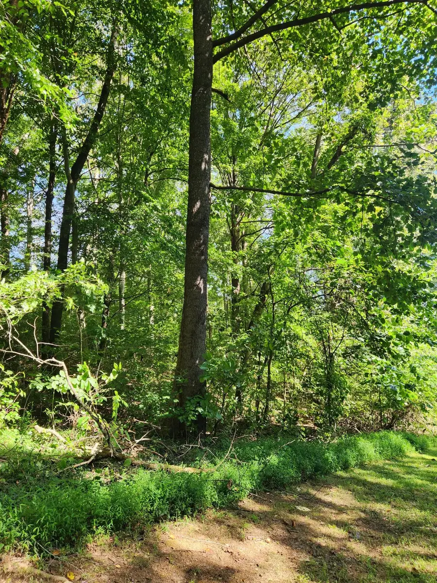 0 Old State Highway 28 #28, Dunlap, TN 37327 - #3
