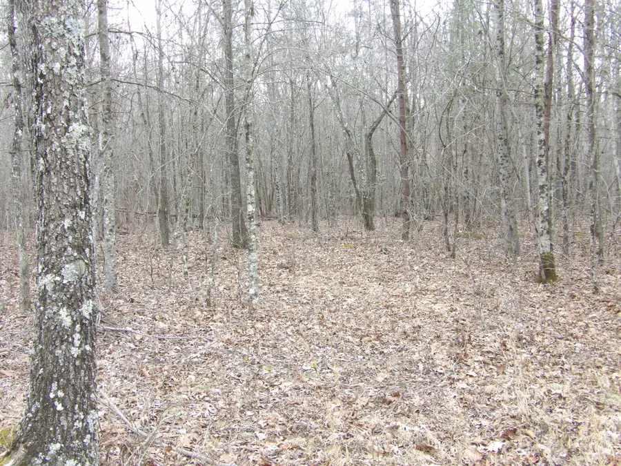 00 Camp Creek Road, Spencer, TN 38585 - #2