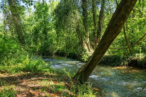 1282 Riverbank Ridge, Chattanooga, TN 37415