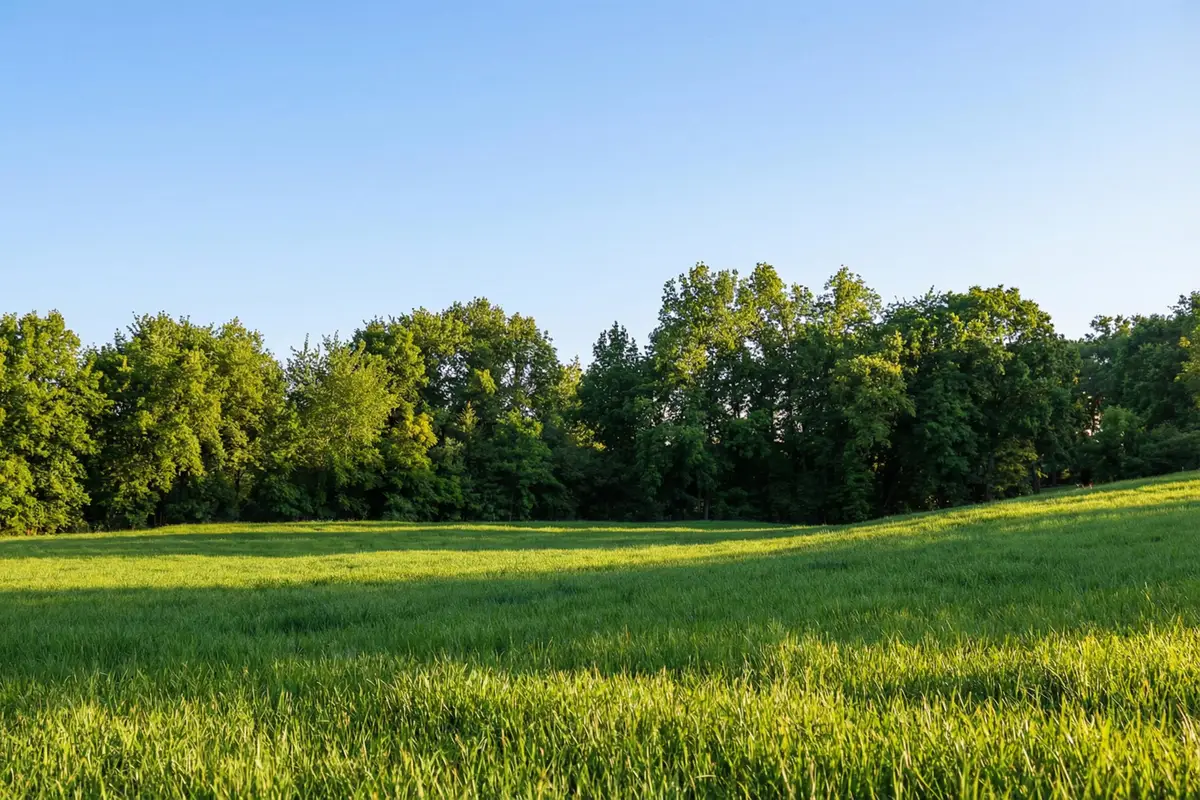 1154 Luptonville Crossing, Chattanooga, TN 37415 - #1