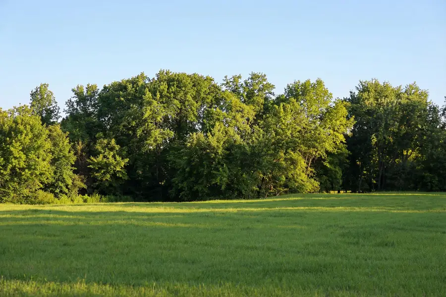 1154 Luptonville Crossing, Chattanooga, TN 37415 - #2