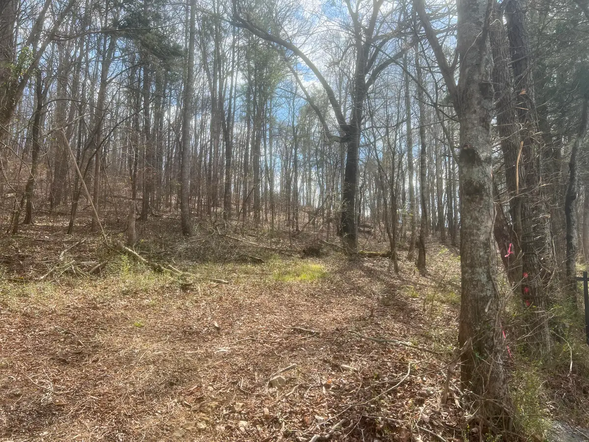 Lot 3 Candies Creek Ridge Road Nw, Cleveland, TN 37312 - #1