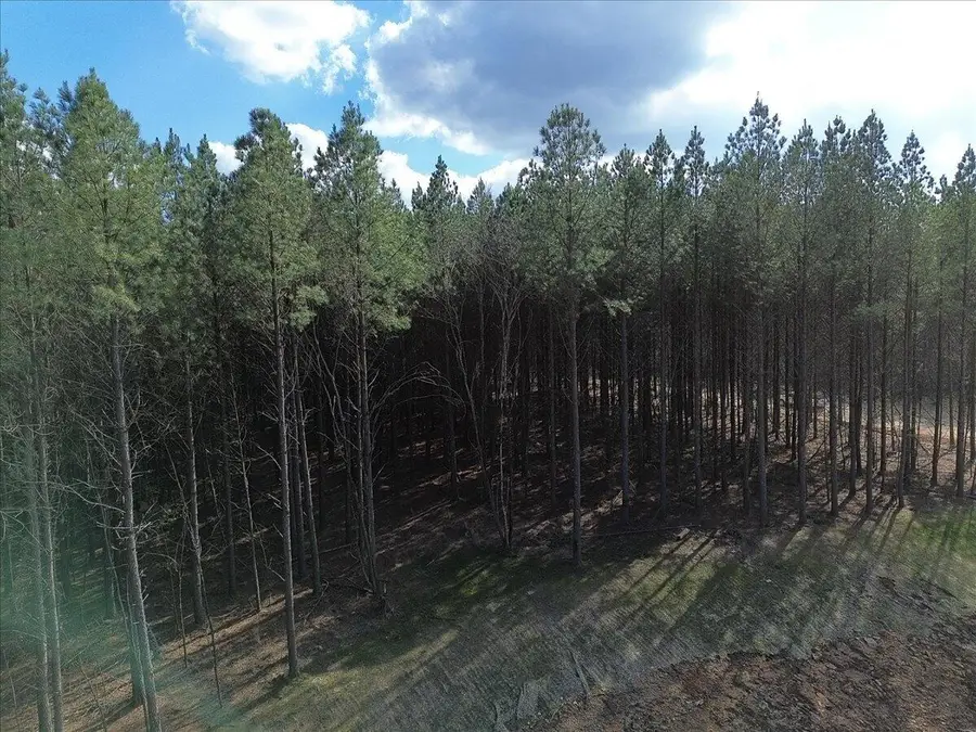 0 Mullins Point #1255, Guild, TN 37340 - #3