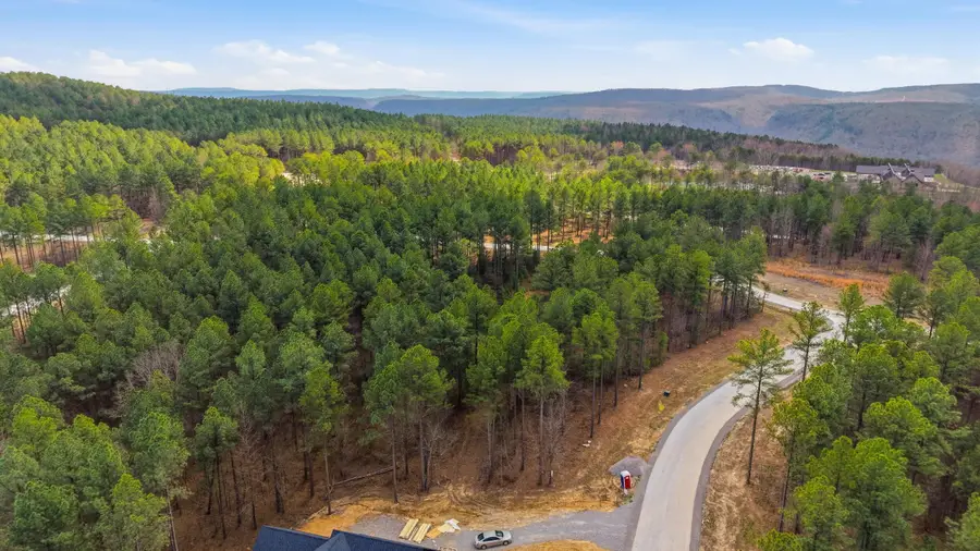 Lot 1040 Expedition Drive, Guild, TN 37340 - #3