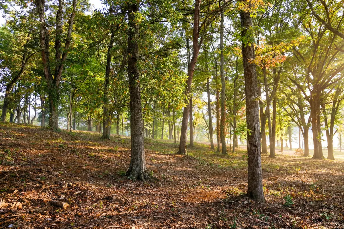 1054 Riverbank Ridge, Chattanooga, TN 37415 - #1