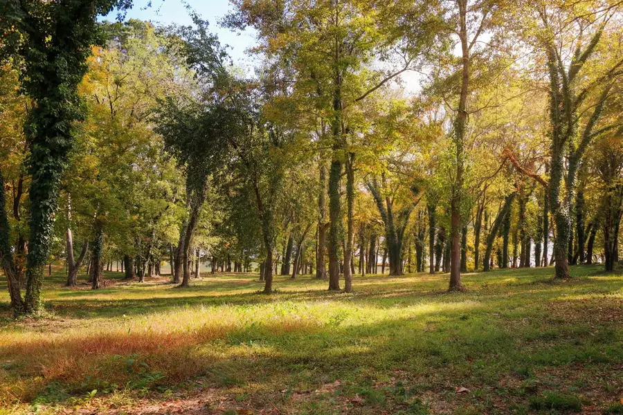 1102 Riverbank Ridge, Chattanooga, TN 37415 - #2