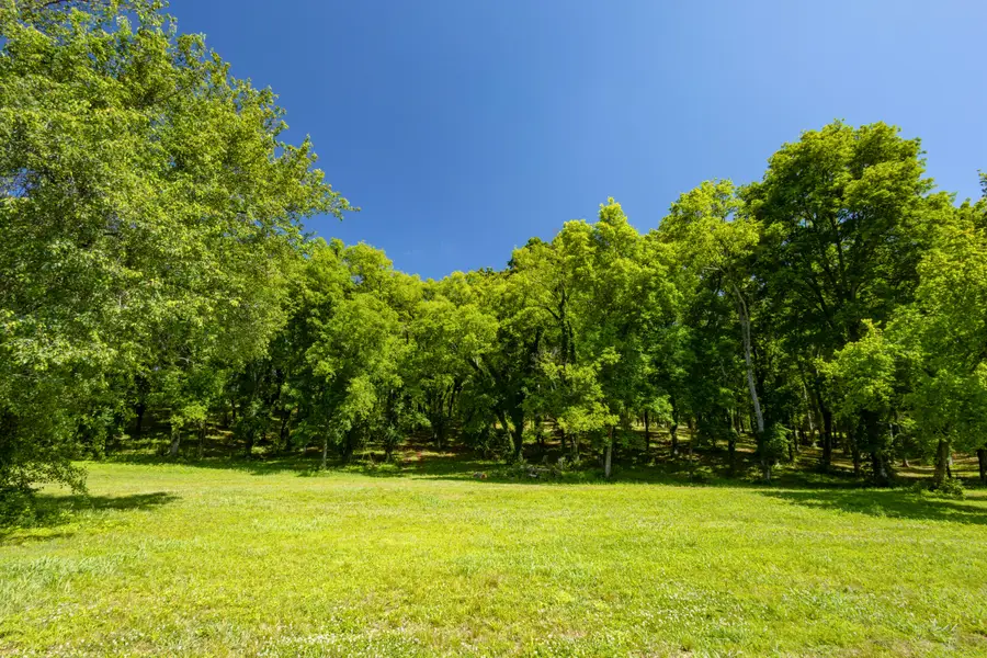 1102 Riverbank Ridge, Chattanooga, TN 37415 - #3