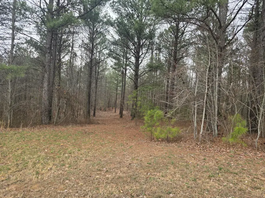 000 Thunder Ridge Drive, South Pittsburg, TN 37380 - #3