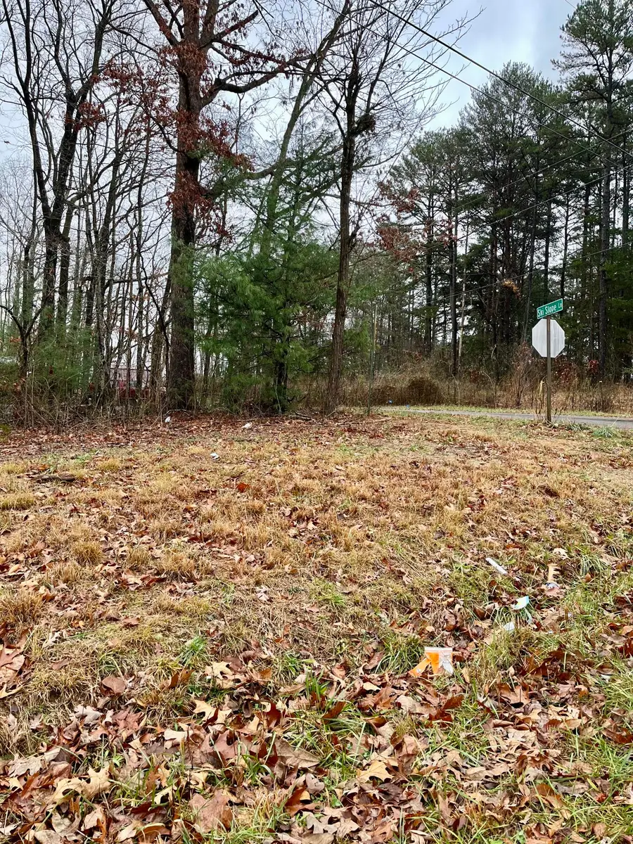 60 Laurel Drive, Dunlap, TN 37327 - #2