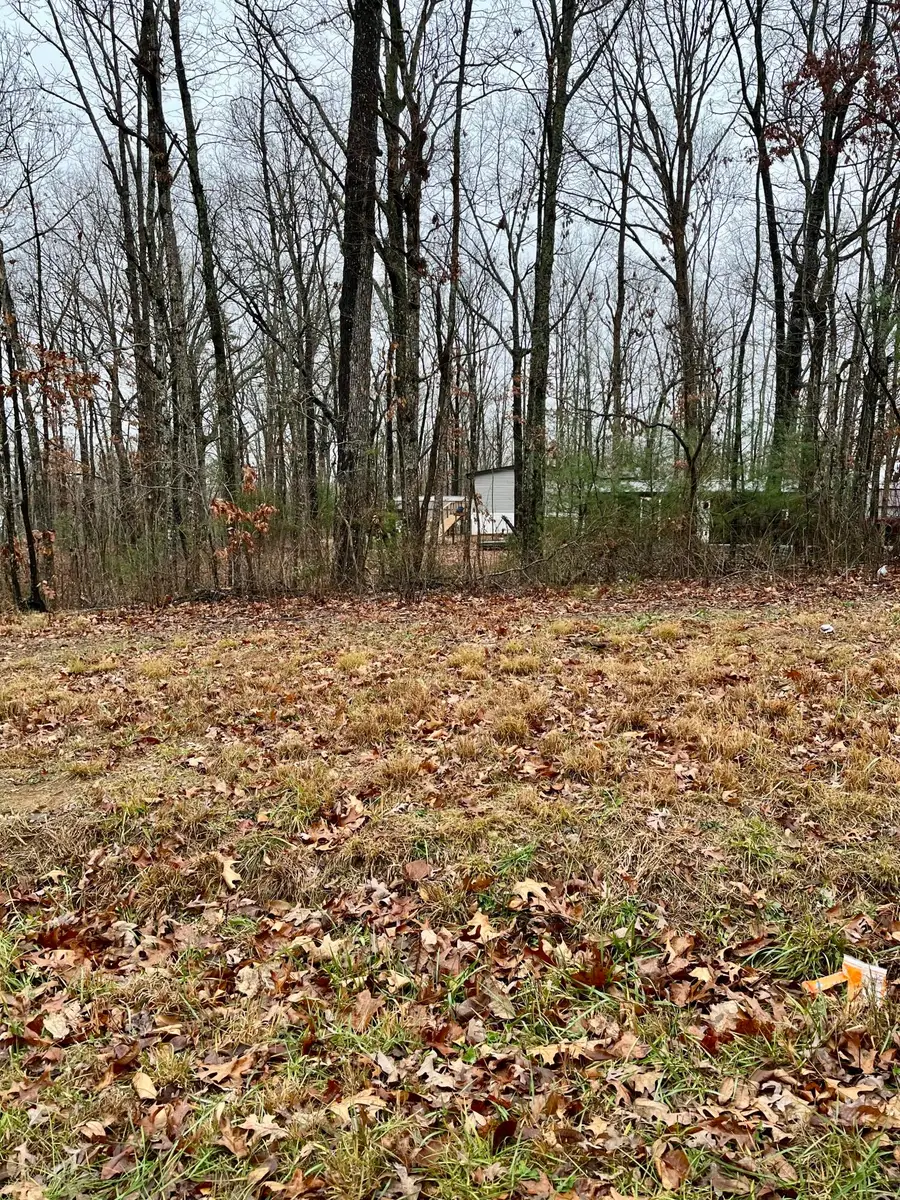 60 Laurel Drive, Dunlap, TN 37327 - #3