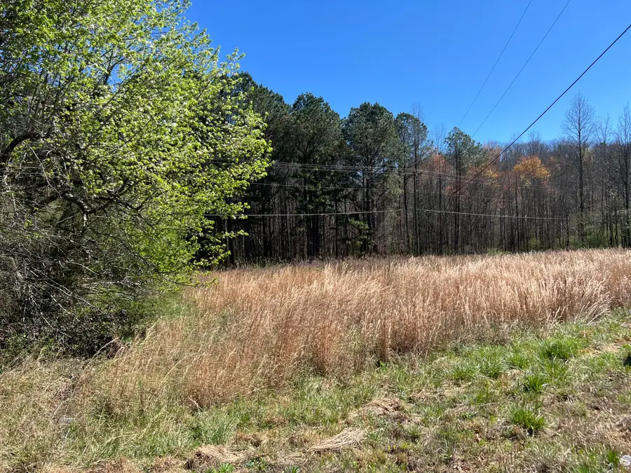 0 Utility Southwest Road, Rocky Face, GA 30740 - #2