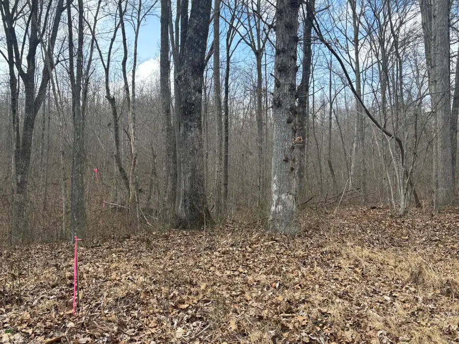 Lot 161 Quail Lane, Dunlap, TN 37327 - #2