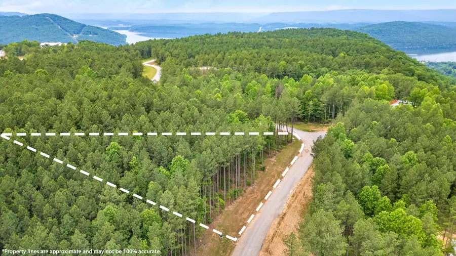 1108 Birds Eye Way, Guild, TN 37340 - #2