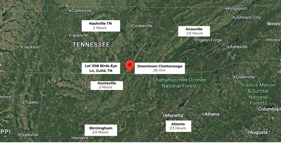 1108 Birds Eye Way, Guild, TN 37340 - #3