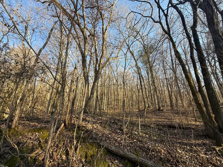 0 County Rd 91, Bryant, AL 35958 - #2