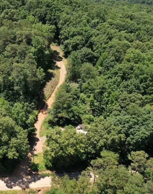 13356 Ellison Trace, Birchwood, TN 37308 - #2