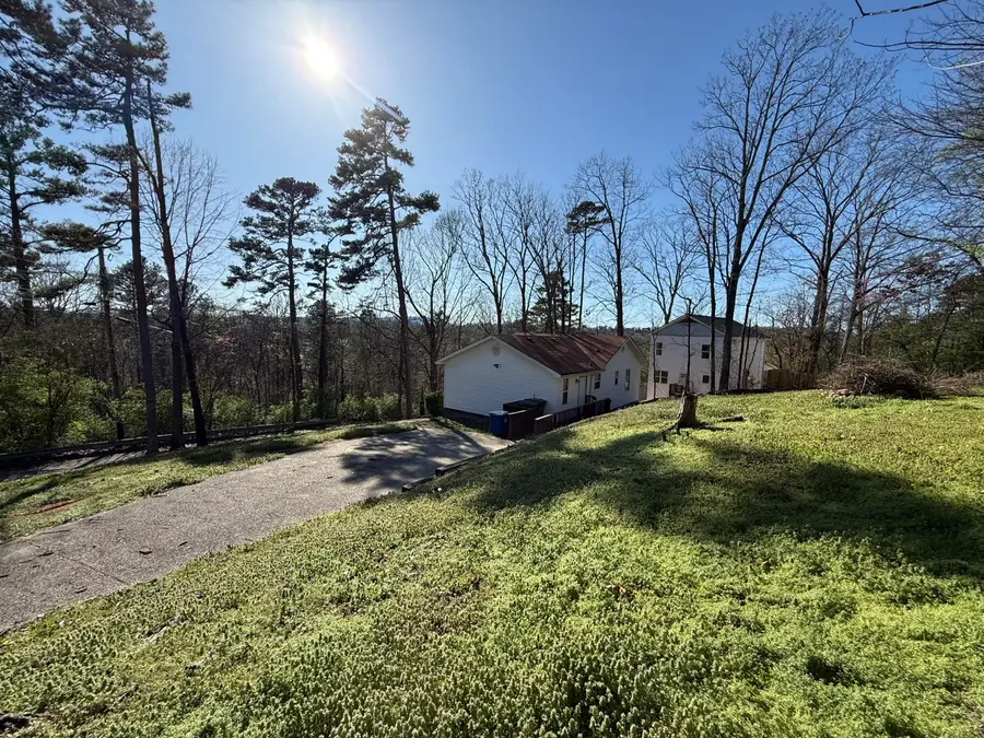 717 East Avenue, Chattanooga, TN 37411 - #2