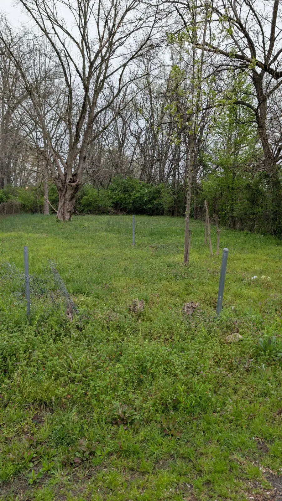 Lot 9 E 46th St. Walthall Street, Chattanooga, TN 37407 - #2