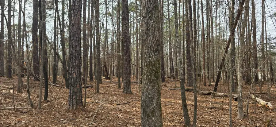 102 Lakeview Estates Lane, Eatonton, GA 31024 - #3