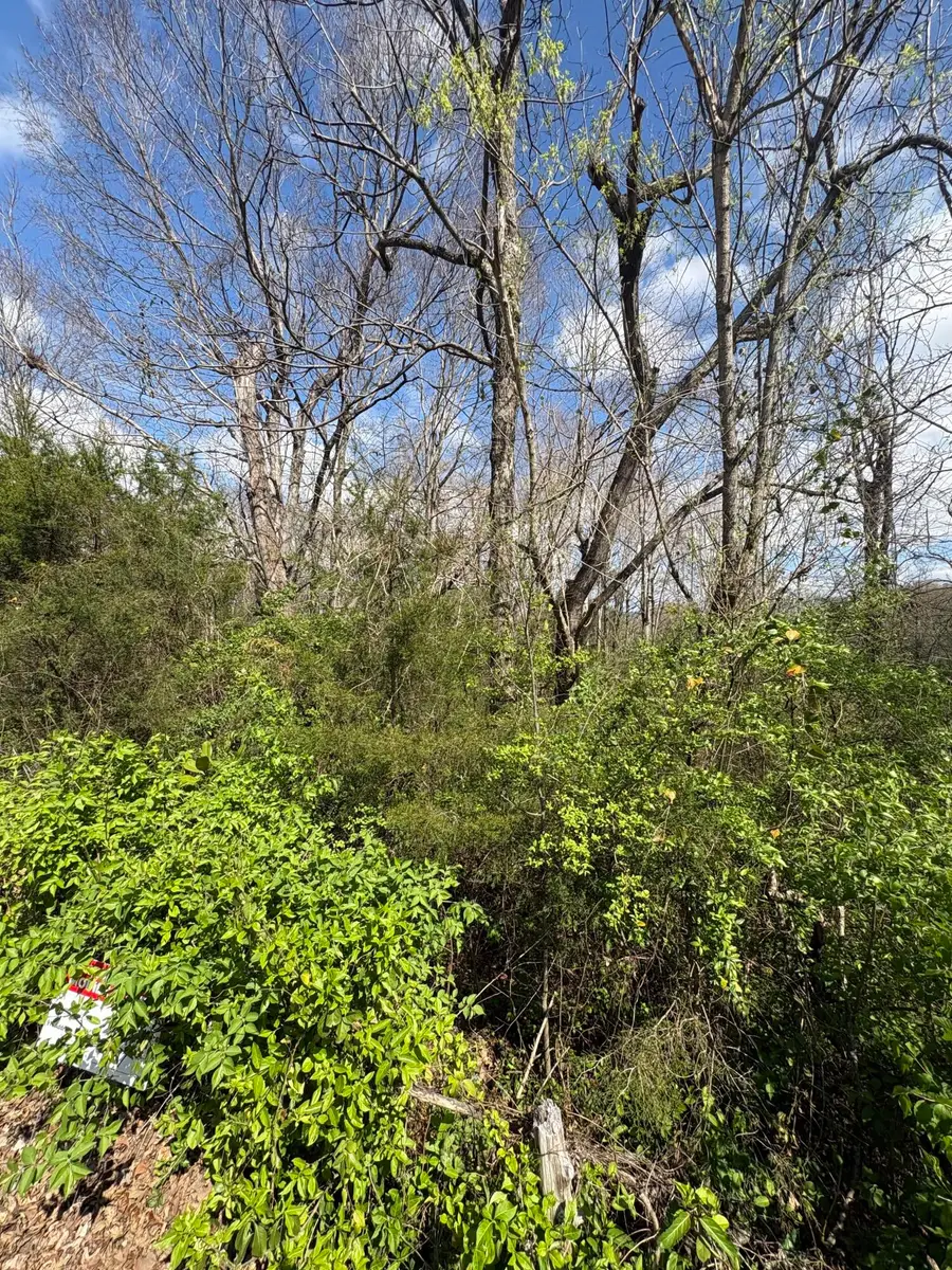 113 Alabama Avenue, Etowah, TN 37331 - #3