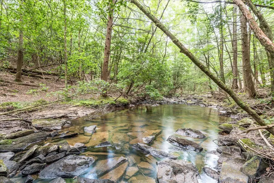 1908 Clear Brooks Drive, Signal Mountain, TN 37377 - #3