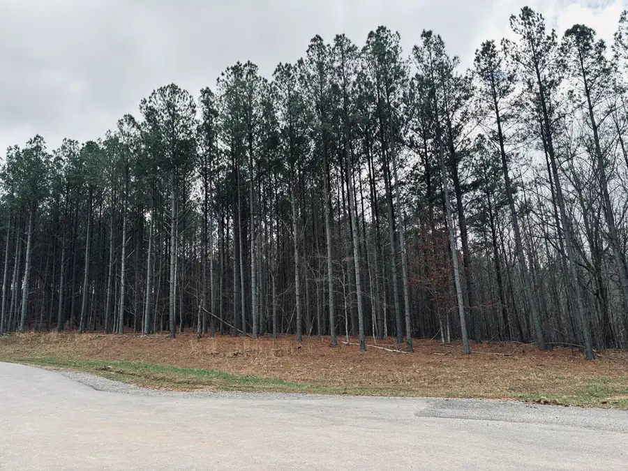 215 Honeybee Court #Jf-407, Jasper, TN 37347 - #3