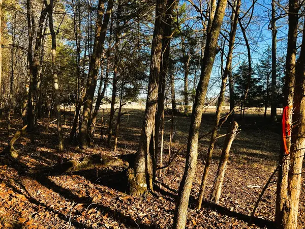 Tract 5 Charles Road, Decatur, TN 37322