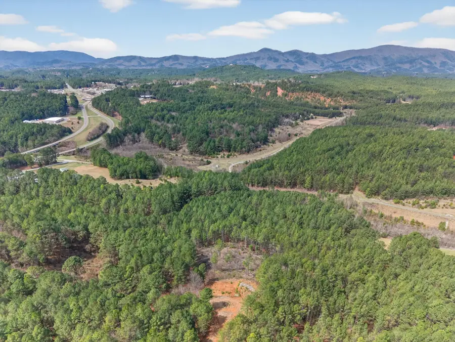 5333 U.s. 64, Lot 5, Copperhill, TN 37317 - #2