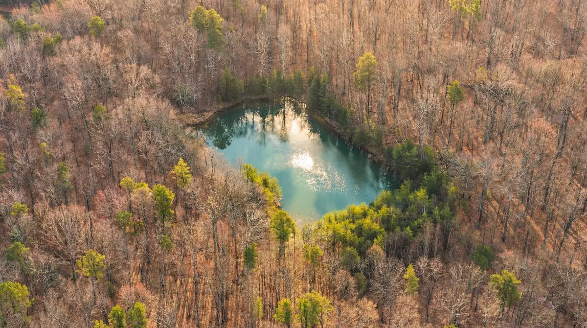 0 Bob Cat Trail, Dunlap, TN 37327 - #1