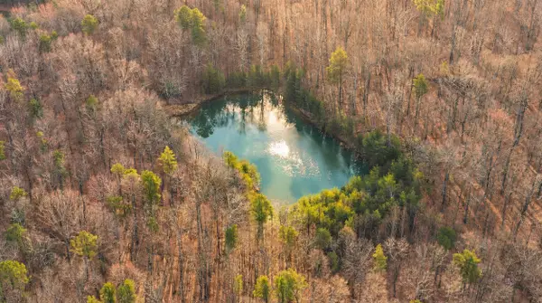 0 Bob Cat Trail, Dunlap, TN 37327