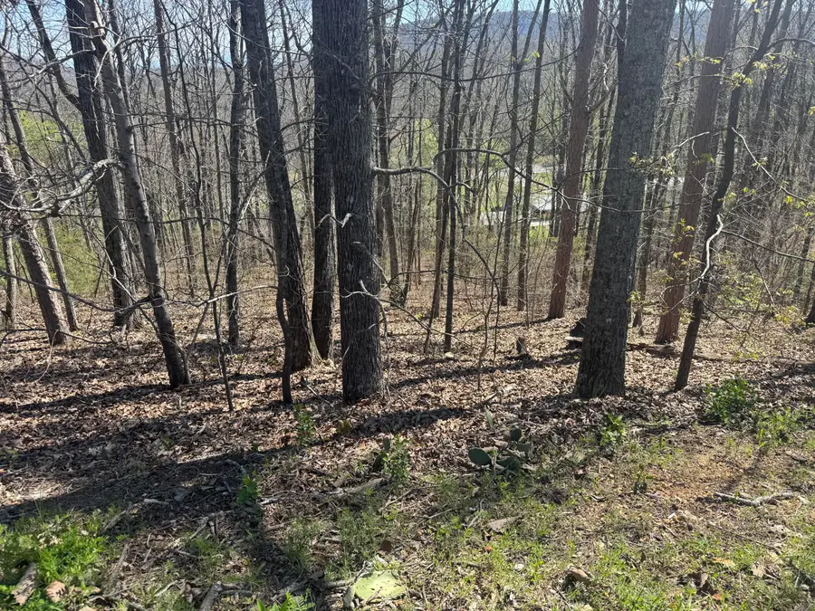 Lot 21 Stoney Point Circle, Rocky Face, GA 30740 - #2