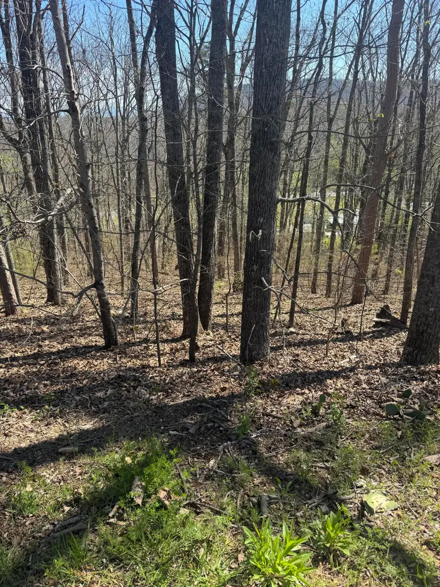 Lot 21 Stoney Point Circle, Rocky Face, GA 30740 - #3