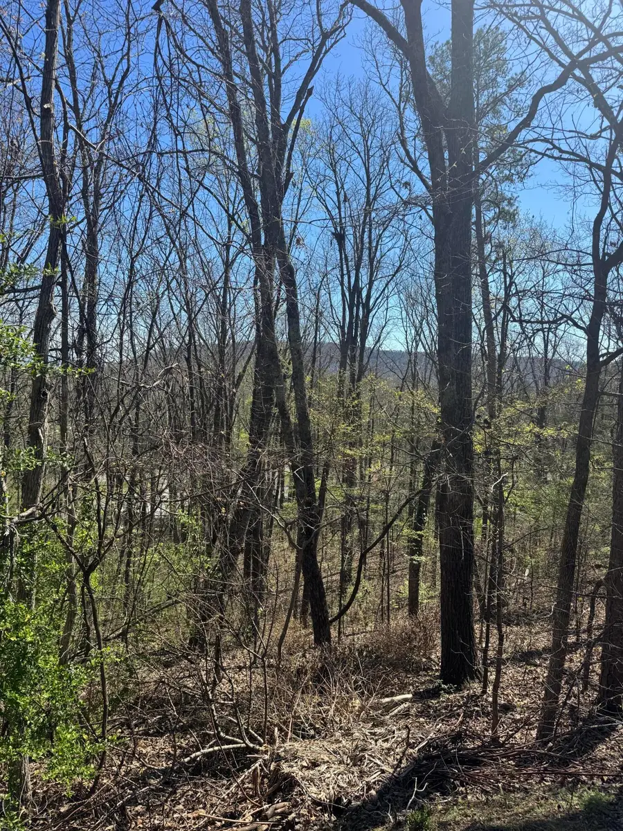 Lot 22 Stoney Point Circle, Rocky Face, GA 30740 - #3
