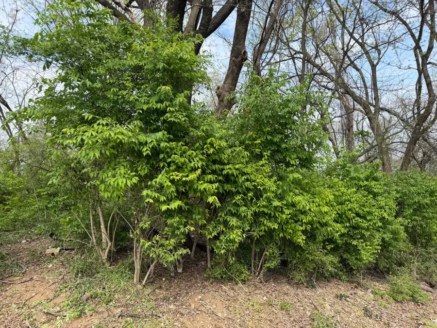 6583 Fairview Road, Hixson, TN 37343 - #2