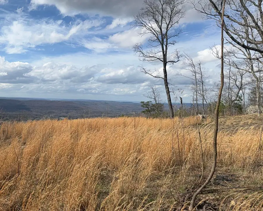 Address Withheld By Seller, Rising Fawn, GA 30738 - #2