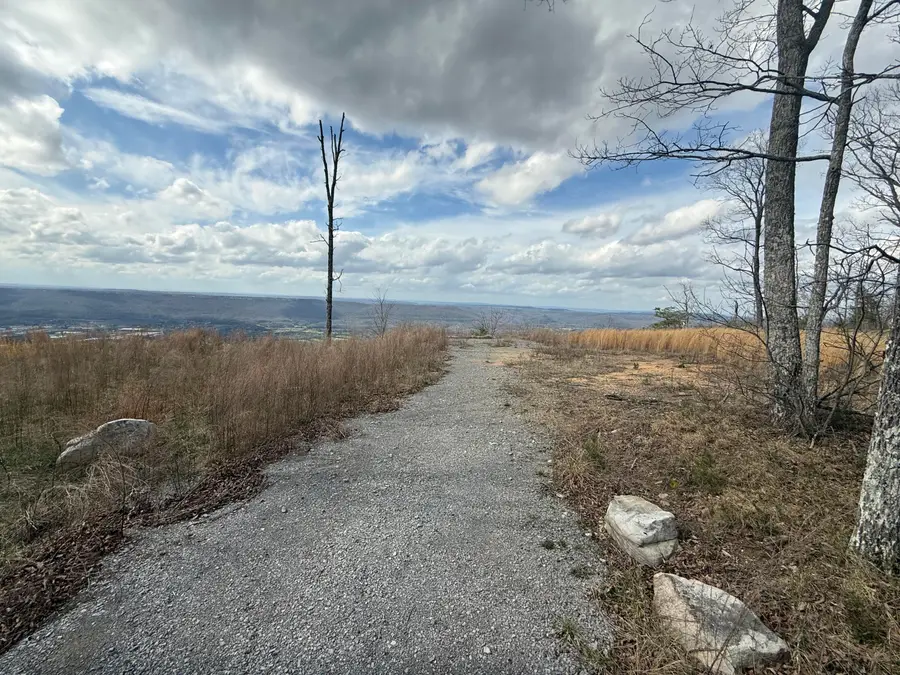 Address Withheld By Seller, Rising Fawn, GA 30738 - #3