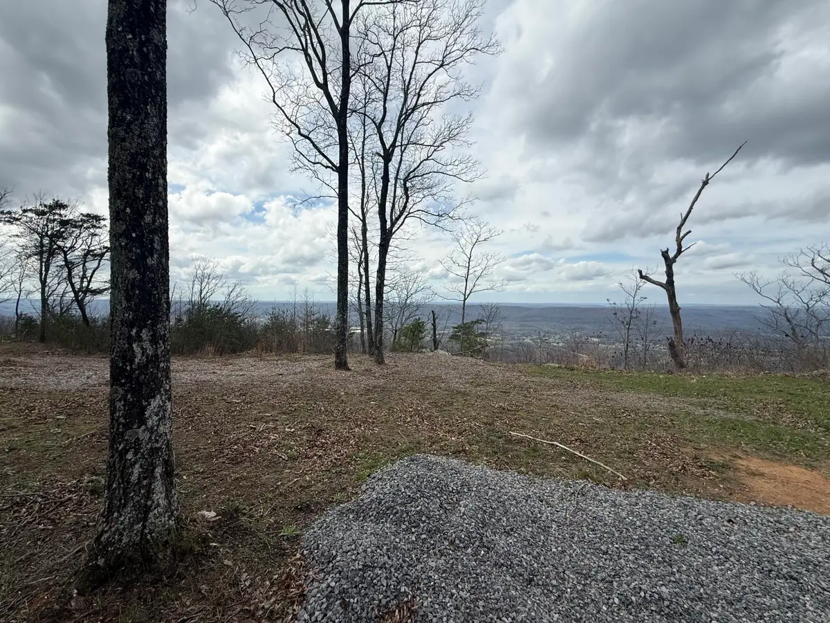 Lot 16 Scenic Highway, Rising Fawn, GA 30738 - #1