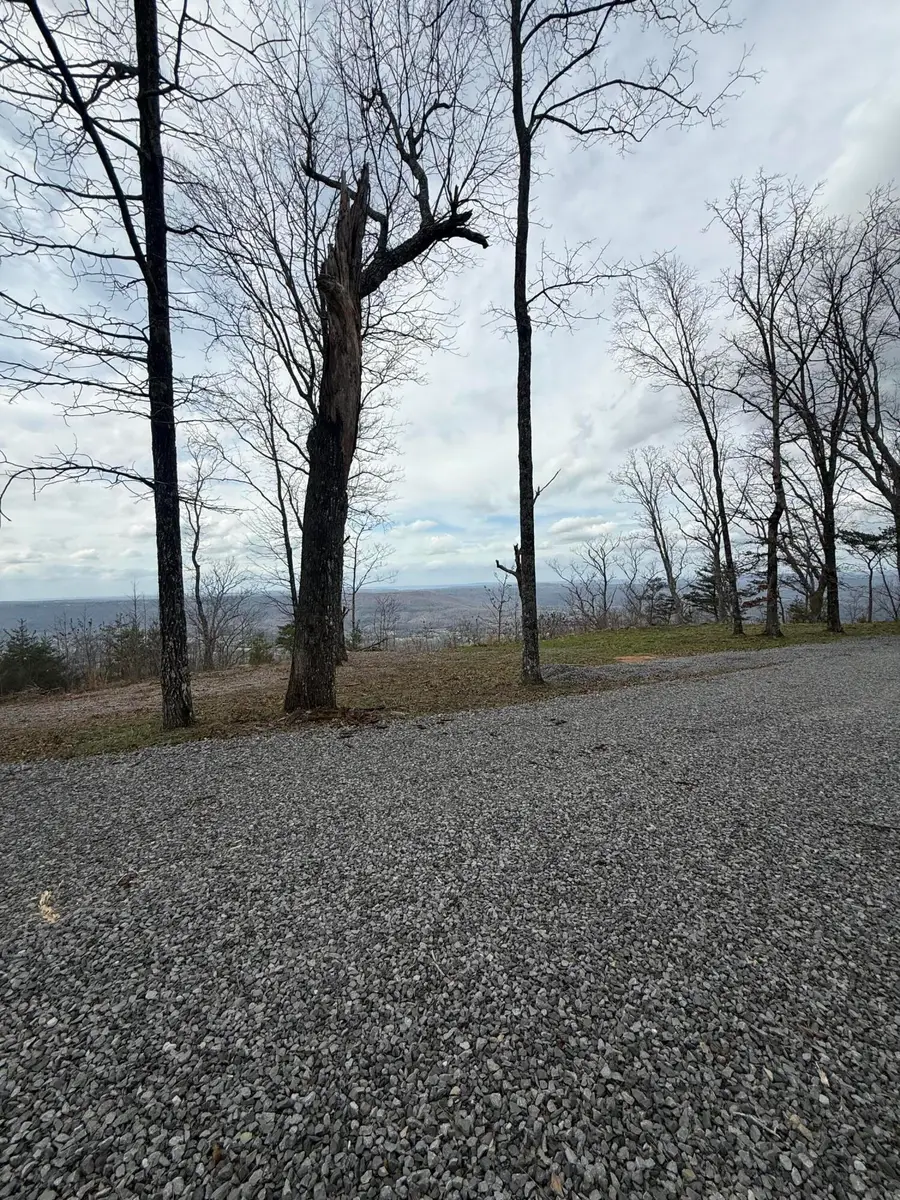 Lot 16 Scenic Highway, Rising Fawn, GA 30738 - #2