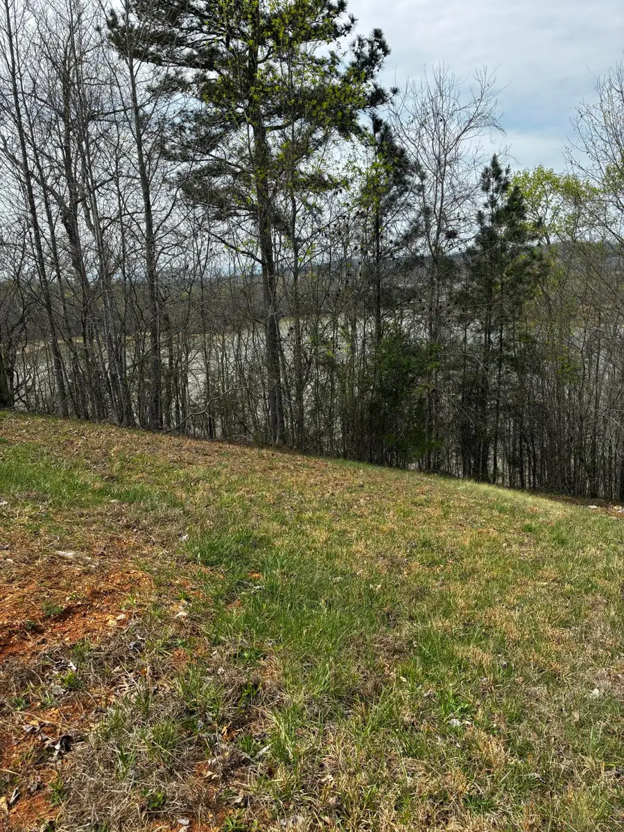 37 Mill Drive, Decatur, TN 37322 - #3