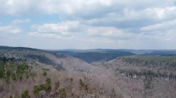 1211 Stooping Oak Road W, Dunlap, TN 37327